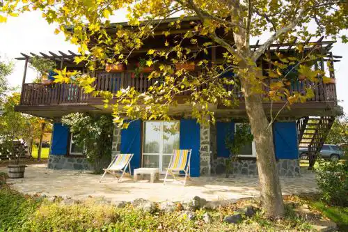 Art Provence House