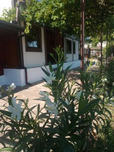 Lozyata Guest House