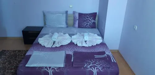 Къща за гости Симеонови