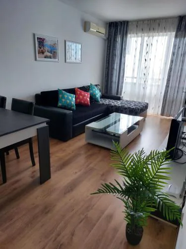 Royal Palm 170