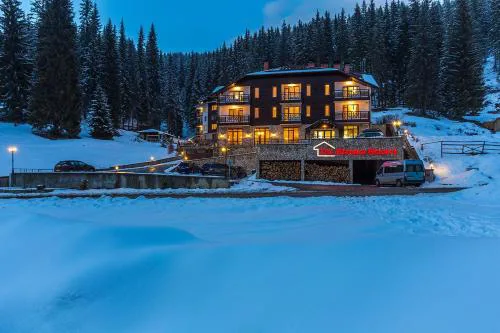 Alenik Private Apartment -The Stream Resort Pamporovo