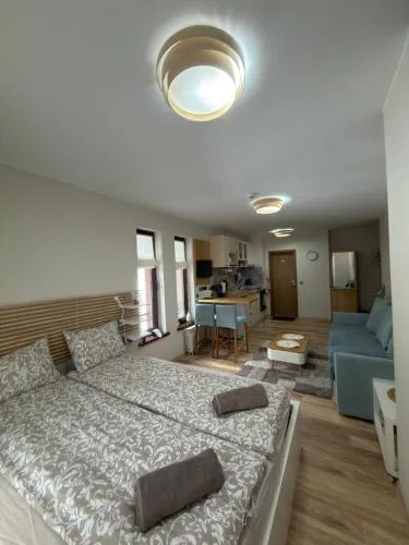 Green Line Studio Appartment Pamporovo