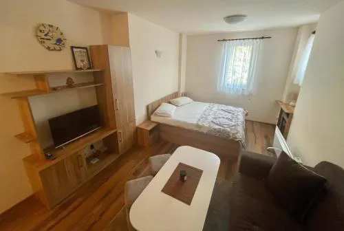 Studio Harmony, Pamporovo