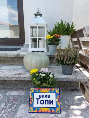 вила Топи