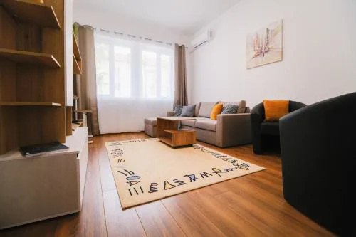 Apartment in the city center