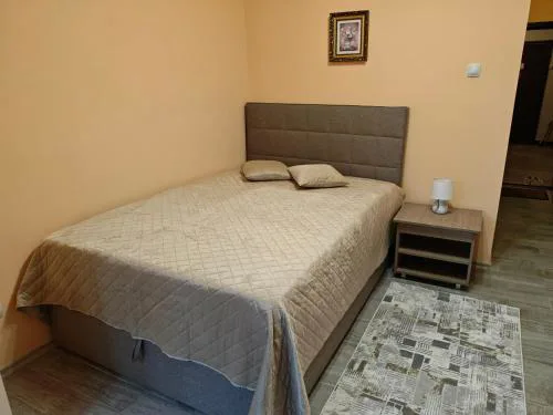 Apartment M 1