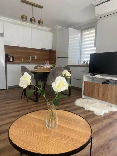 M&M Center Apartment with free parking