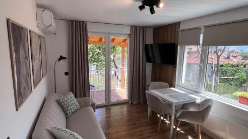 Black Cat Apartment