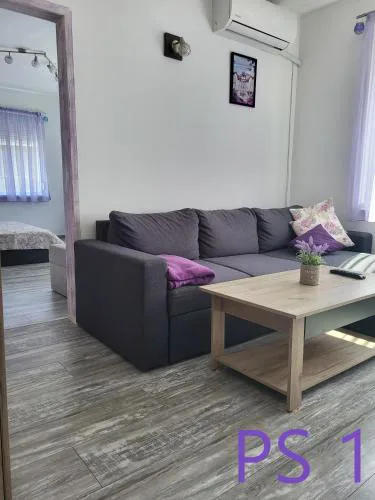 Purple StudioS