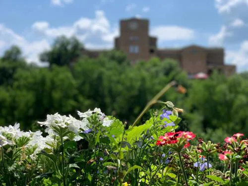 Spring-Пролет Apartment, Old Town, Veliko Tărnovo