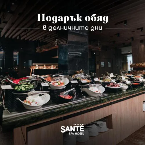 Santé SPA Hotel
