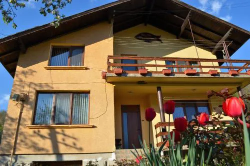 Villa Ribarica