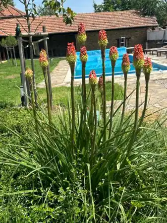Chez le Colonel Pool House
