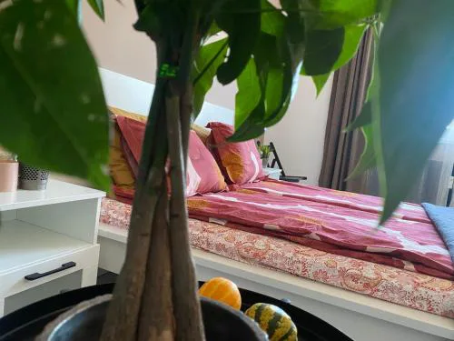 Apartment PS
