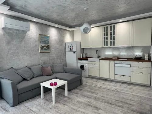 Cozy and modern apartment Krasno selo, free parking