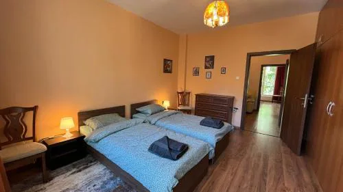 Quiet 2 bedrooms downtown apart