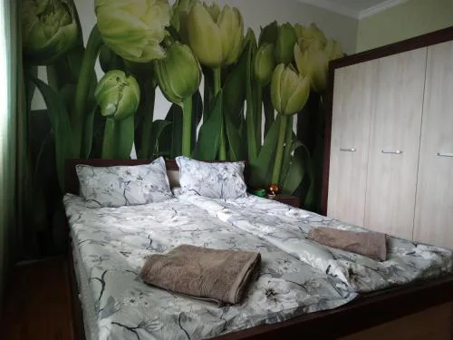 Tulips - Room for travelers, close to the Airport, transport possible