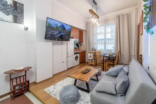 Two Vintage Apartments by NDK and Vitosha Blvd with Free Parking