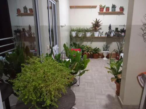Relache House Praia