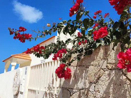 Casa Djarmai Apartments