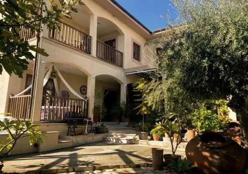 Olive Tree House