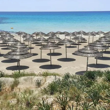 Narcissos 'Nissi Beach' Apartment A8