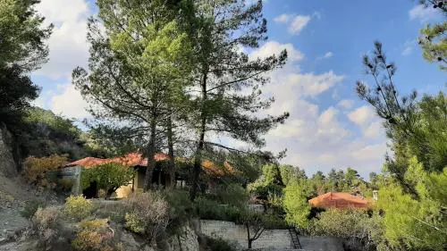 IRENE cottage