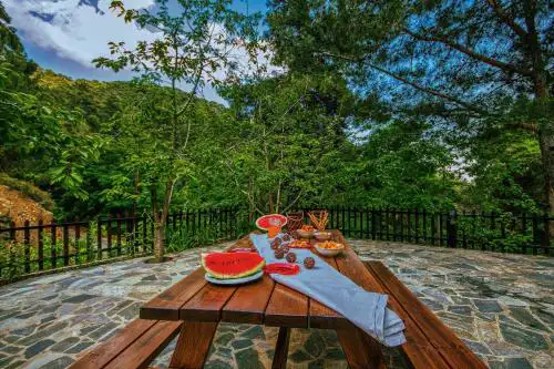 Amazing Villa in Pano Platres Cyprus