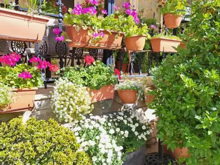 Kyperounta Troodos Mountain House!