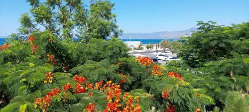 Latchi coast villa-resort