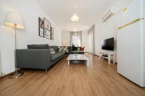 1 bedroom flat in city center