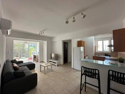 Spacious City Center - Suite 203