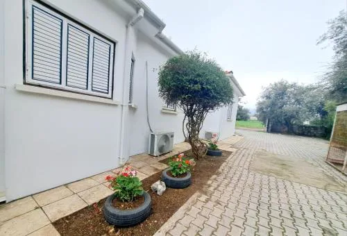 Zeytinbungolaw