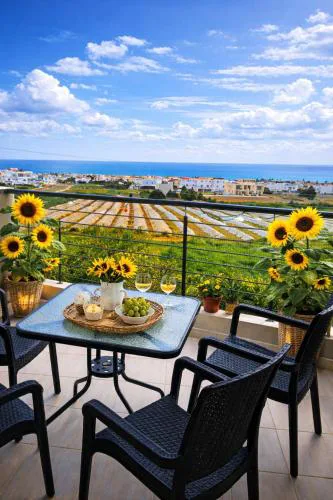 Cyprus Sunflower