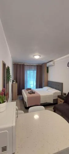 Stay With Oleg C17