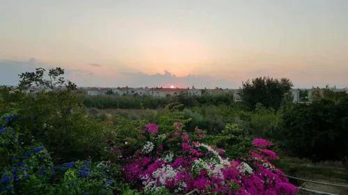 Little Paradise