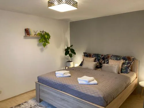 Apartmán Lipno 1