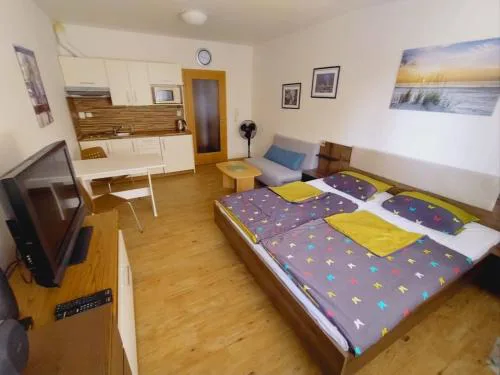 Apartmán Lipno TwentyFive