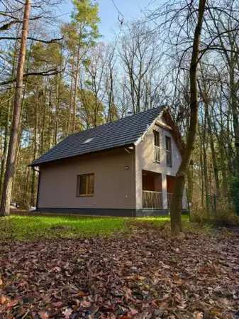 Forest House Buxusson