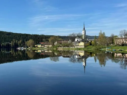 Forest Wellness & Spa Apartments Lipno - Frymburk