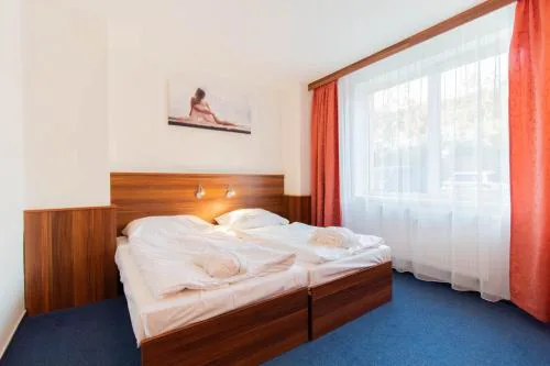 LIPNO WELLNESS - FRYMBURK C112 private family room
