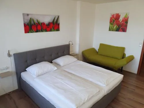 Ubytování Hanka v pokoji s bakónem C408