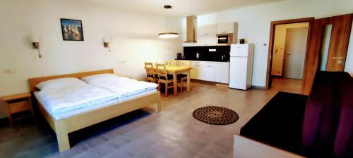 Apartmán 10 Lipno 511