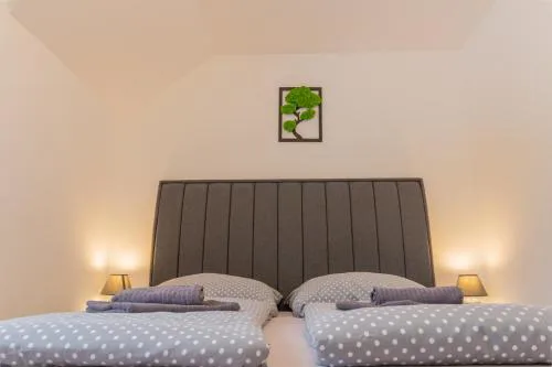 LIPNO Moss Apartment
