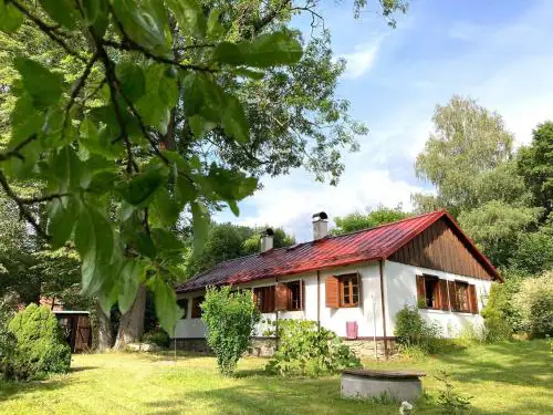 Dvůr Metlice