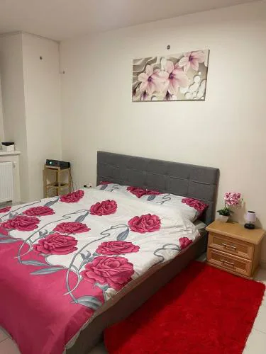 U Tonyho - Apartmán v centru Strakonice 2-kk