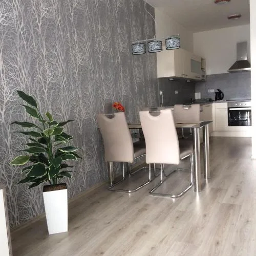 Apartmán Třeboň č. 1