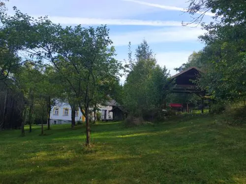 Chalupa na samotě u lesa, Hleďsebe