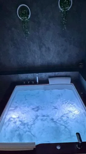 wellnesshonezovice
