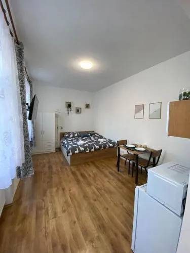 Cozy 1 BR studio in the center of Pilsen